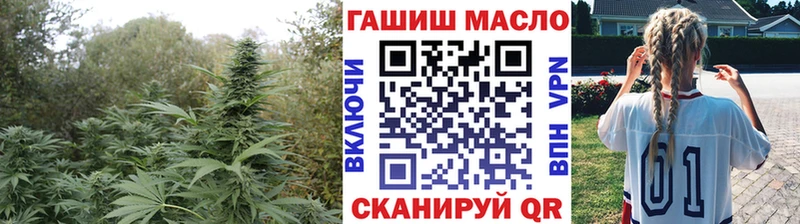 сколько стоит  Любим  ТГК гашишное масло 